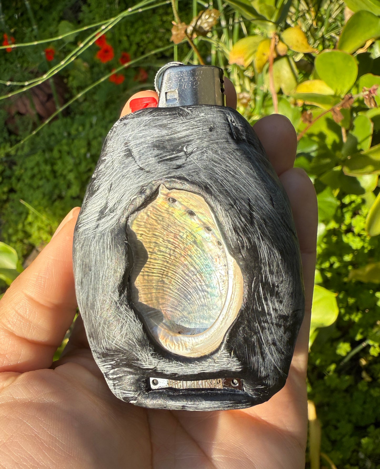 Abalone!